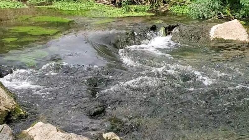 Warwick Township Riparian Park - Lititz, PA