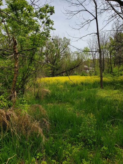 Warwick Township Riparian Park - Lititz, PA