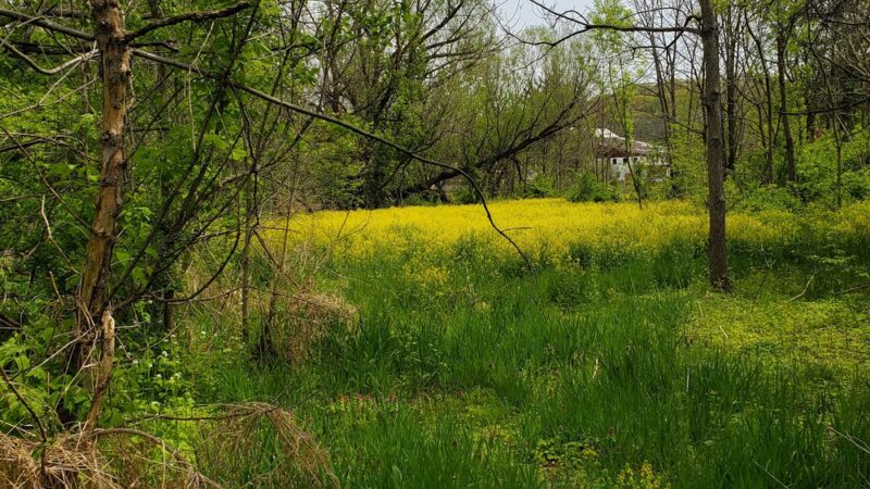 Warwick Township Riparian Park - Lititz, PA