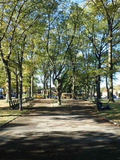 Nassau Mall - Little Neck, NY