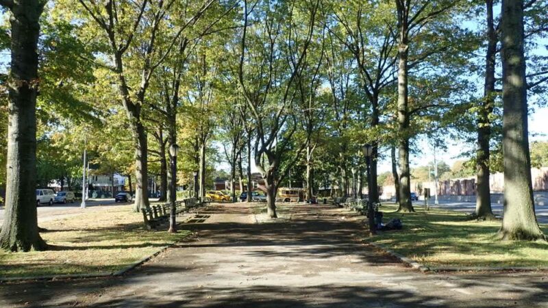 Nassau Mall - Little Neck, NY