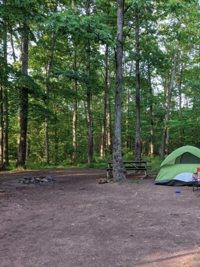 Campsite 74 - Little Orleans, MD