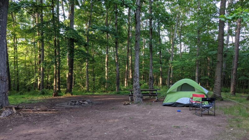 Campsite 74 - Little Orleans, MD