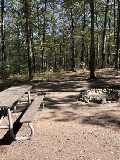Campsite 74 - Little Orleans, MD