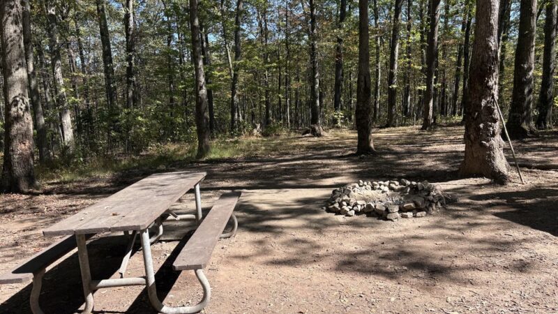Campsite 74 - Little Orleans, MD