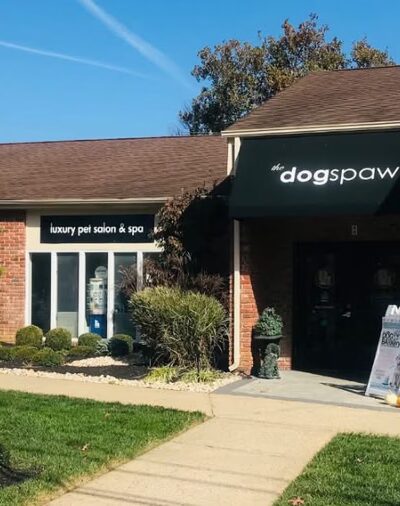 The Dog Spaw of Little Silver & The DOG BARKery - Little Silver, NJ