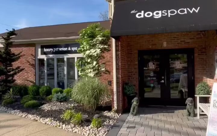 The Dog Spaw of Little Silver & The DOG BARKery - Little Silver, NJ