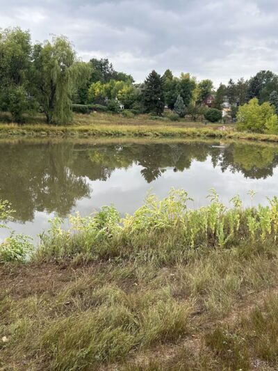 Ashbaugh Park - Littleton, CO