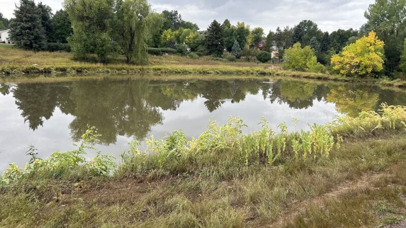 Ashbaugh Park - Littleton, CO