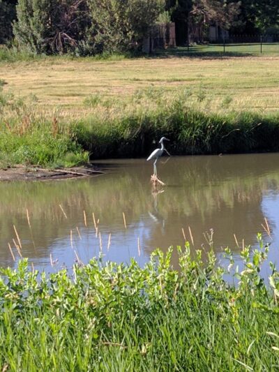 Ashbaugh Park - Littleton, CO
