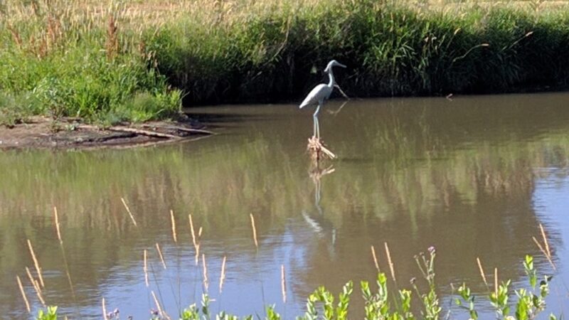 Ashbaugh Park - Littleton, CO