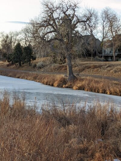 Ashbaugh Park - Littleton, CO