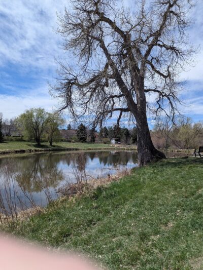 Ashbaugh Park - Littleton, CO