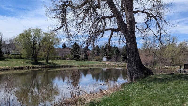 Ashbaugh Park - Littleton, CO