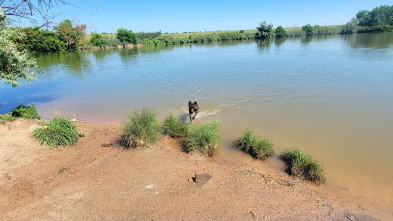 Chatfield Dog Park Parking - Littleton, CO