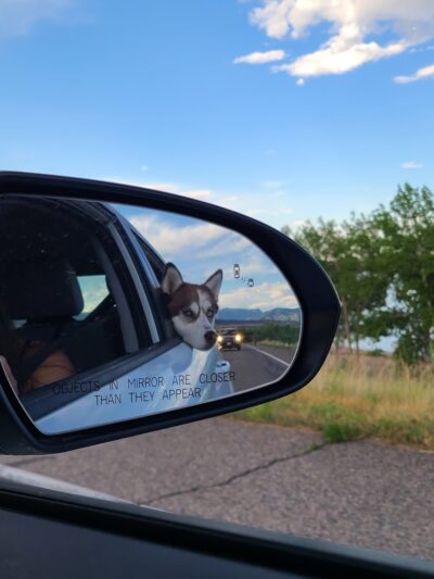 Chatfield Dog Park Parking - Littleton, CO