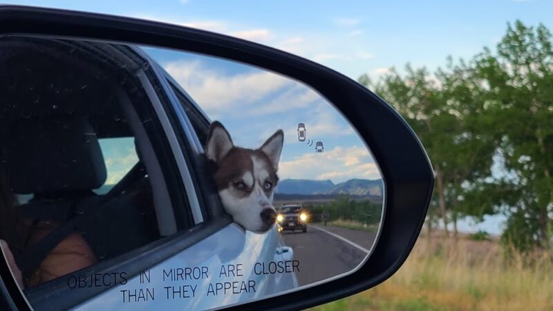 Chatfield Dog Park Parking - Littleton, CO