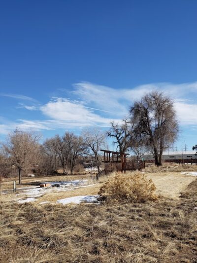 Creekside Experience Park - Littleton, CO