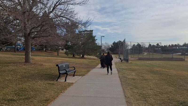 Puma Park - Littleton, CO