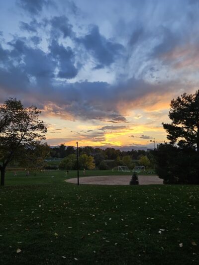 Puma Park - Littleton, CO