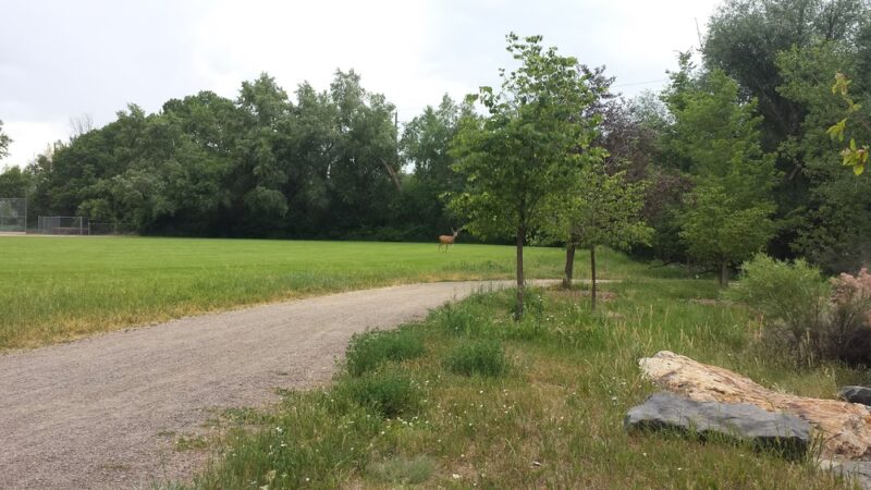 South Suburban Park - Littleton, CO