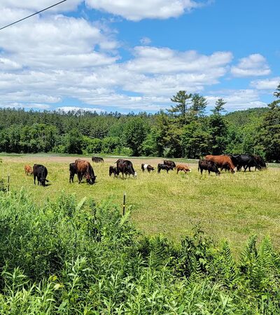 Ammonoosuc River Rail Trail Parking - Littleton, NH