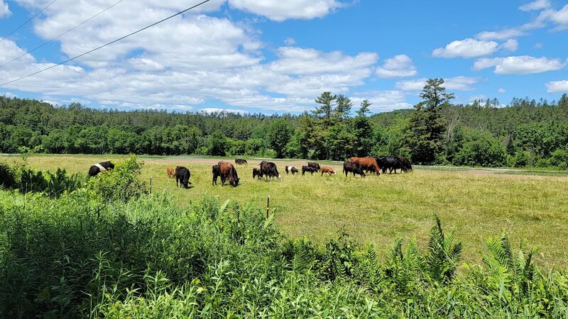 Ammonoosuc River Rail Trail Parking - Littleton, NH