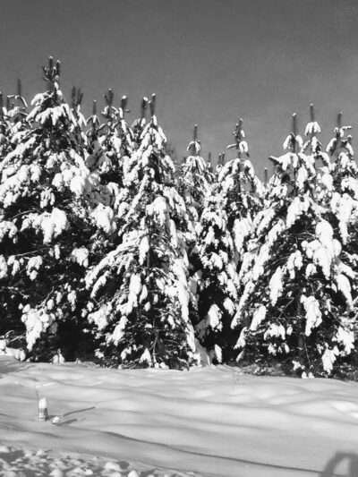 Littleton Park & Rec Superintendent - Littleton, NH