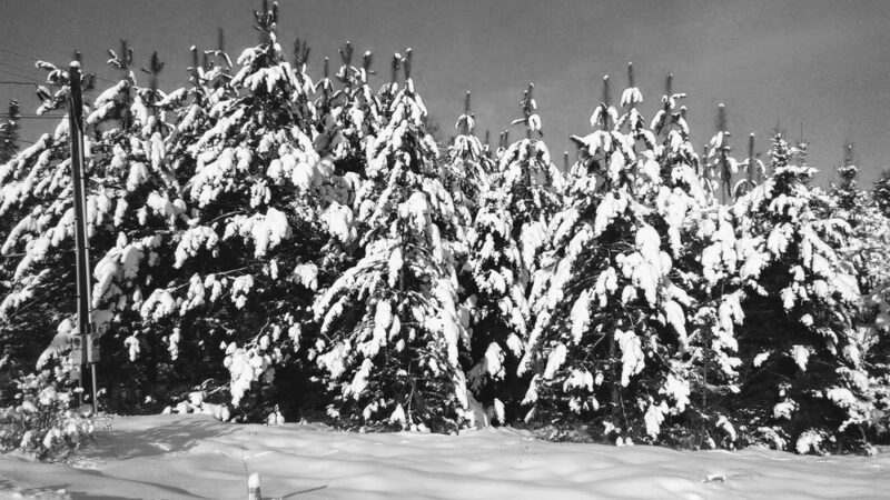 Littleton Park & Rec Superintendent - Littleton, NH