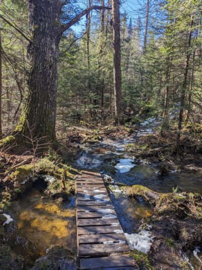 Parker Mountain Trails - Littleton, NH