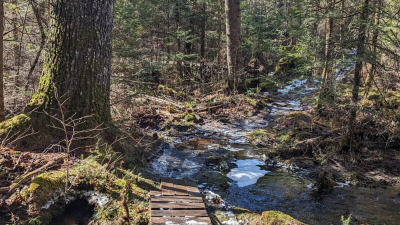 Parker Mountain Trails - Littleton, NH