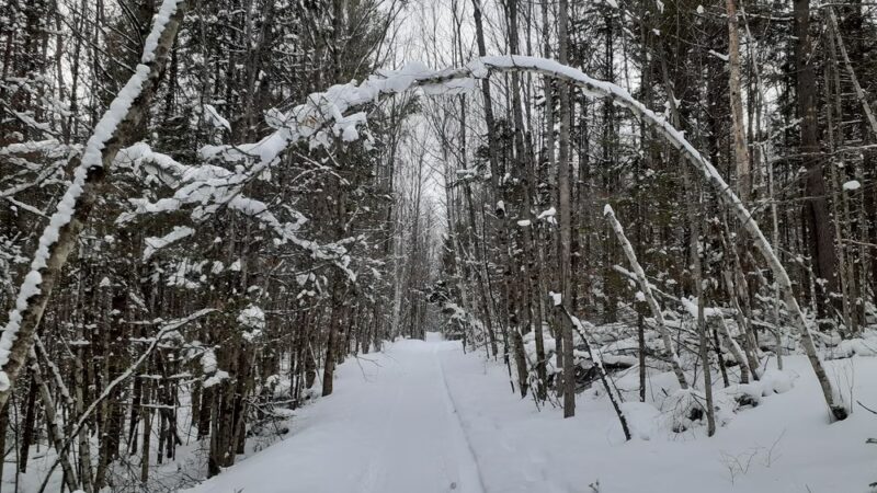Parker Mountain Trails Parking - Littleton, NH