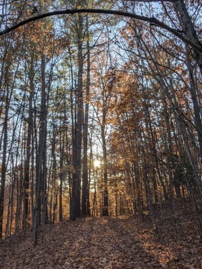 Parker Mountain Trails Parking - Littleton, NH