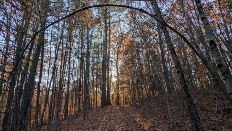 Parker Mountain Trails Parking - Littleton, NH