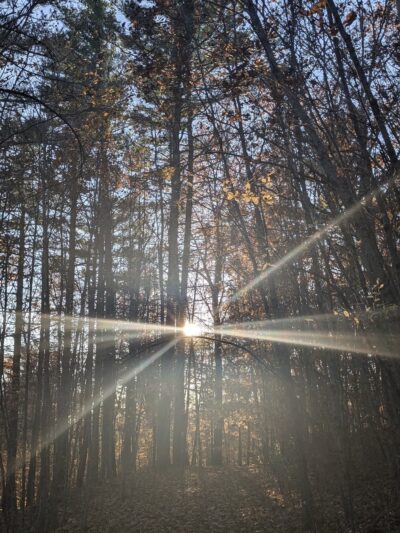 Parker Mountain Trails Parking - Littleton, NH