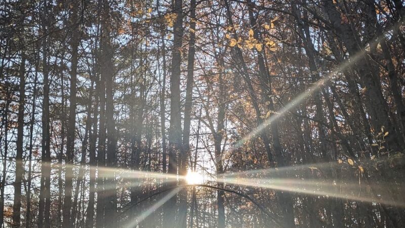 Parker Mountain Trails Parking - Littleton, NH