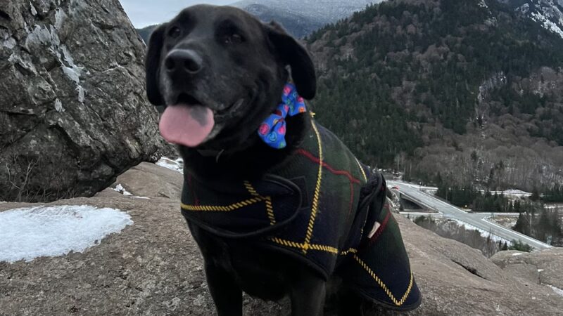Tailswag - Littleton, NH