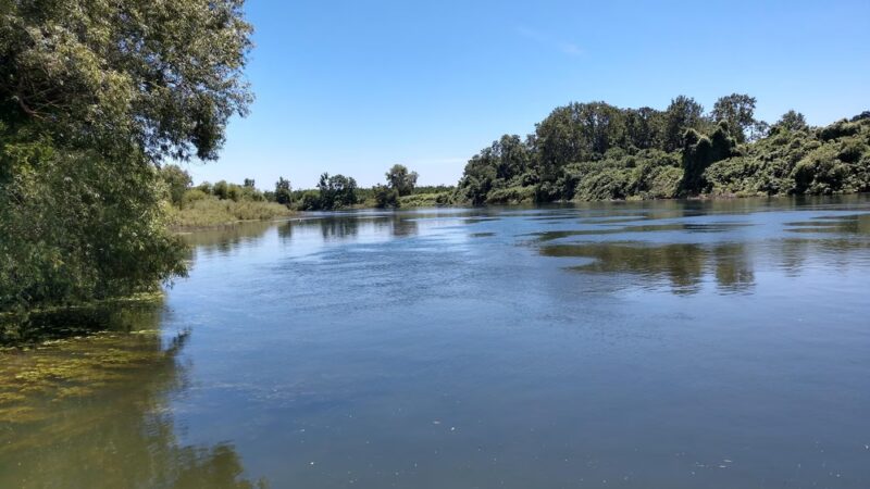 Live Oak Recreational Park Boat Launch - Live Oak, CA
