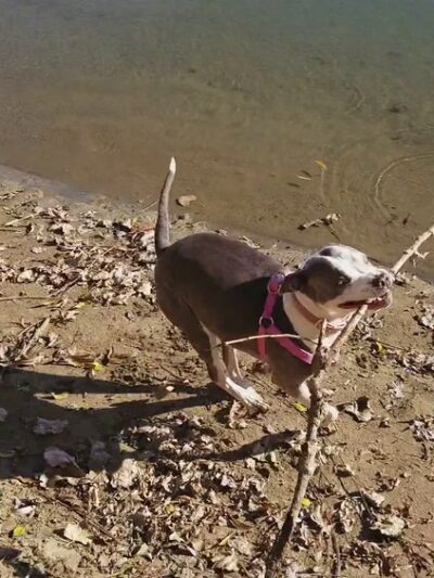 Live Oak Recreational Park Boat Launch - Live Oak, CA