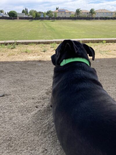 soccer fields - Live Oak, CA