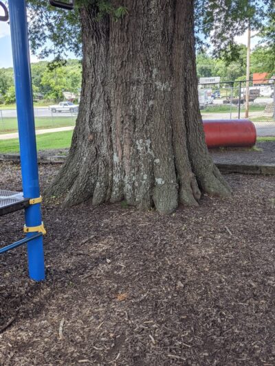 Recreation Park - Livingston, TN