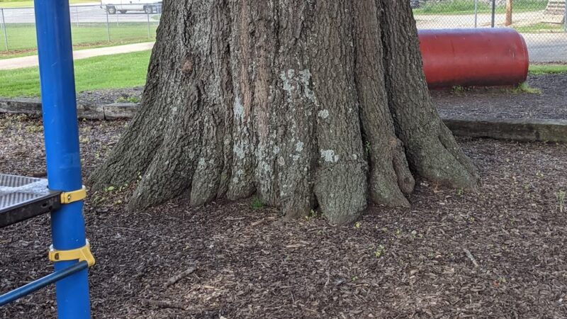 Recreation Park - Livingston, TN
