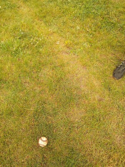 Bowen Park - Livonia, NY