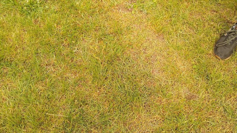 Bowen Park - Livonia, NY