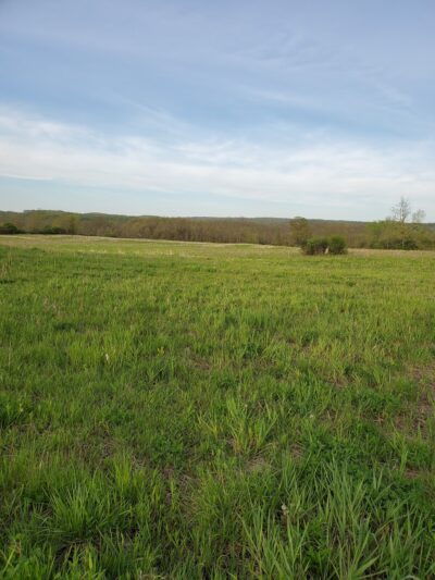 Honeoye Creek Wildlife Management Area - Livonia, NY