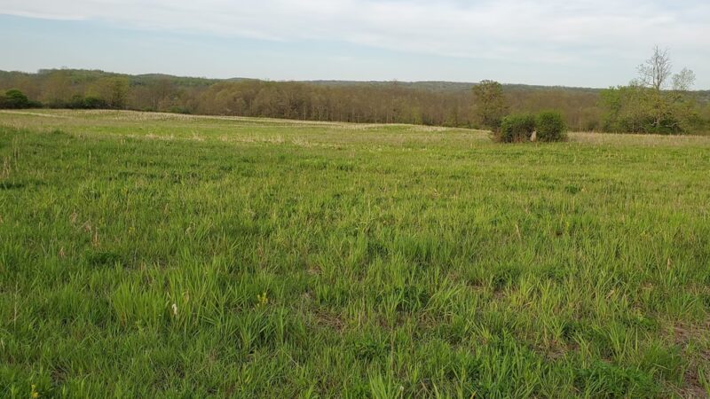 Honeoye Creek Wildlife Management Area - Livonia, NY