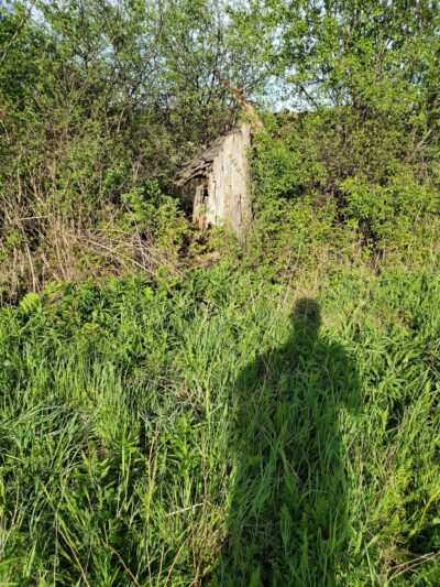 Honeoye Creek Wildlife Management Area - Livonia, NY