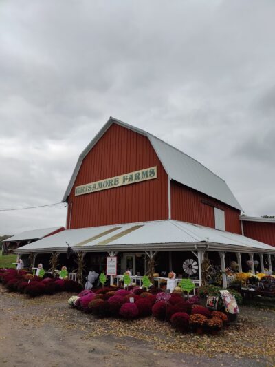 Grisamore Farms - Locke, NY