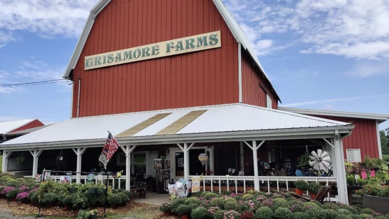 Grisamore Farms - Locke, NY