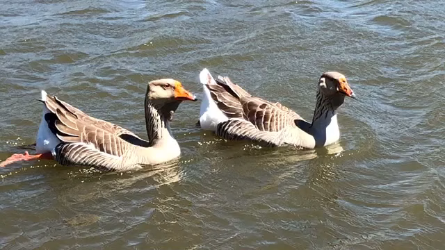 Lockhart City Park - Lockhart, TX